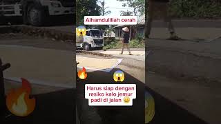 Tanggung resiko pak tani funnyvideo jemurpadi [upl. by Antsirhc]