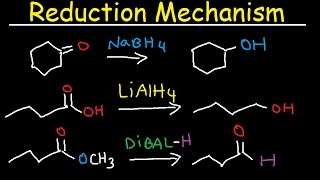 Carboxylic Acid Derivatives Overview and Reaction Map [upl. by Alaek]