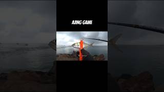 Ajing Fishing ajing fishing rapalafishing keranga mancing [upl. by Rafael459]