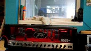 Peavey 6505 Review amp Demo CleansCrunchDistortion [upl. by Hippel]