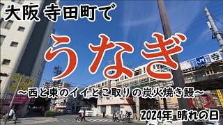 【うなぎ】大阪 寺田町 東西合わせて炭火で焼いた贅沢ディナー [upl. by Burton]