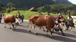 Désalpe de Charmey en Gruyère Suisse le 25 septembre 2021 [upl. by Laurentia]