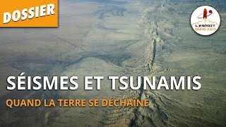 SÉISMES ET TSUNAMIS  Dossier 25  LEsprit Sorcier [upl. by Suiratnauq]