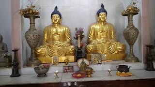 Mahabodhi  Mulagandha Kuti Vihar  Sarnath Varanasi  Maha Bodhi Society [upl. by Bartko]