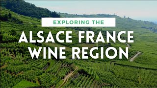 ALSACE FRANCE WINE REGION OVERVIEW  Plus Pinot Gris Review [upl. by Nniroc]