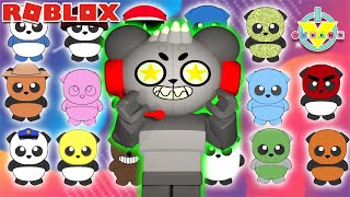 Look at the Cute Pandas  Roblox Find a Panda [upl. by Engeddi415]