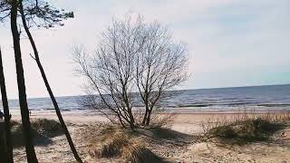 beautiful Palanga Beach balticsea palanga [upl. by Nuarb677]