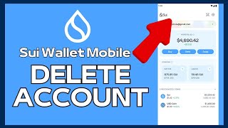 How to Delete Sui Wallet Account 2024 [upl. by Helve]