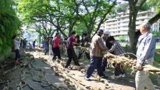 Making Of The Jinsho  三朝花湯まつりの綱からみ  misasaonsen tottori japan 三朝温泉 [upl. by Jc]