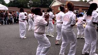 Steelton Elk Steppers [upl. by Jacoba]