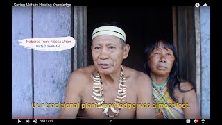 Saving Matsés Healing Knowledge [upl. by Ahen313]