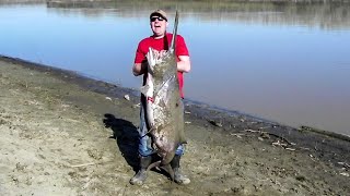 Paddlefishing the Missouri River [upl. by Nrublim276]