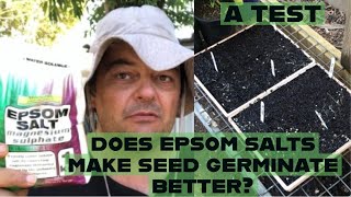 Does Epsom Salts Make Seed Germinate Better an experiment from our garden [upl. by Fitzger]