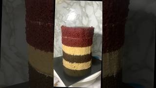 Moist Cake Layers [upl. by Linus]