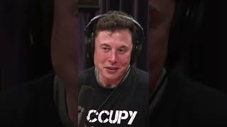 Elon Musk  You Wouldnt Want To Be Me shorts podcast elonmusk joerogan [upl. by Crist288]