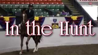 Big E Horse Show Vignette 15  In The Hunt [upl. by Pulchi]