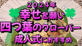 【振袖帯結び 2024年】🍀幸せを願い🍀四つ葉のクローバー 成人式におすすめ【簡単帯結び】 [upl. by Eiramadnil]