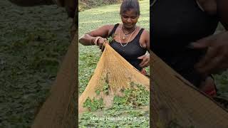 Amazing Village Women New Fishing shorts fishing reels [upl. by Creight768]