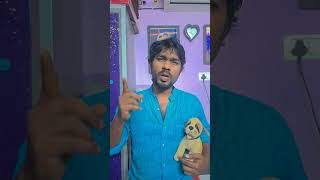 Naai sekar Vadivelu Comedycomedy videos  fun videos shorts youtube shorts trending videos [upl. by Ttcos]