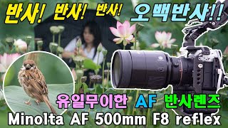 Minolta AF 500mm F8 reflex amp a7r4  laea5 Engsub 반사반사반사 유일무이한 AF 500반사렌즈 [upl. by Ameline850]