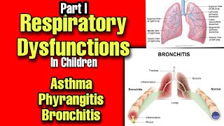 Respiratory Dysfunctions in Children Asthma Pharyngitis amp Bronchitis Symptoms amp Treatment by Tutor [upl. by Mast682]