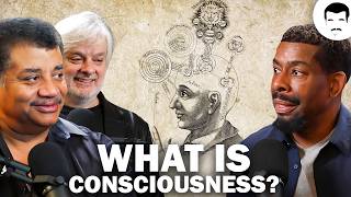 David Chalmers Discusses the Hard Problem of Consciousness [upl. by Radbourne]