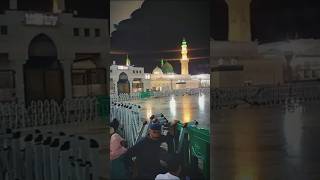 Mera Asara Mera Nabi hy islamicshorts islamicstatus love beautiful اسلامی youtubeshorts [upl. by Adele]