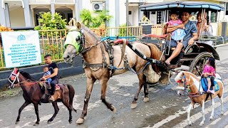 Kuda  Delman  Naik Delman  Kuda Delman Istimewa  Lagu Naik Delman Indonesia Naik Kuda Kuda Lucu [upl. by Ahsiled534]