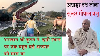 अजगर का वध श्रीकृष्ण ने यहीं किया । Aghasura vadh lila by Lord Krishna Sundar Gopal Prabhu [upl. by Laks]