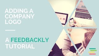 Feedbackly tutorial How to add a company logo to your organization [upl. by Jaco]