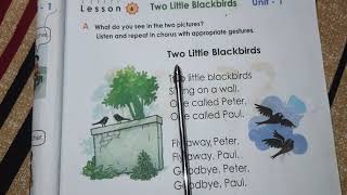 class 1 Rhyme Two little blackbirds  English to bangla  কবিতা  ছোট দুটি কালো পাখি [upl. by Bone]