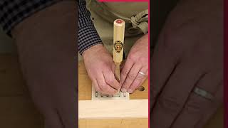 A CRAFTY scroll saw and CARVING project scrollsaw woodcarving asmr relaxing [upl. by Sanfo]