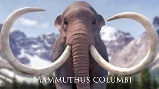 Mammuthus columbi 3D  Gabriel Casamasso [upl. by Salangi]