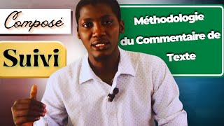 La méthodologie du commentaire de texte [upl. by Nehttam]