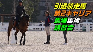 引退競走馬でオリンピック出場したボイド氏の馬術講習会の様子 20231220 JRA馬事公苑 [upl. by Vezza231]