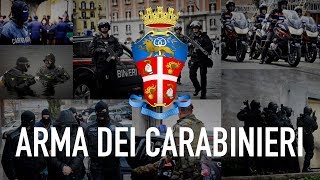 Arma dei Carabinieri [upl. by Aynodal]