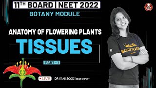 Anatomy Of Flowering Plants 01  Tissues  Class 11  NEET 2022  Vedantu Biotonic for NEET [upl. by Anitsrik]