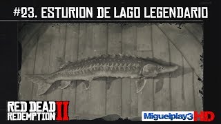 Localización Esturión de Lago legendario  23Compendio Peces  Red dead redemption 2 [upl. by Aihsetan]