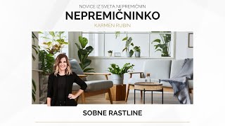 🏠NEPREMIČNINKO 49 Sobne rastline 🪴 [upl. by Reehsab]