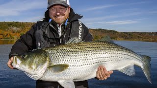 Giant Striped Bass in New Brunswick  Fishn Canada [upl. by Annawd]