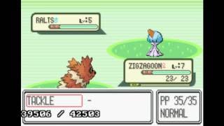 Quadruple Pokemon RubySapphire RNG Starter Poochyena Normans Zigzagoon amp Wallys Ralts [upl. by Eatnod]