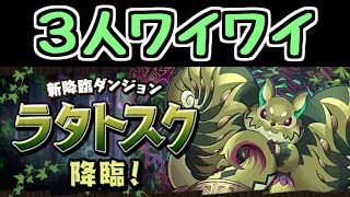 【生放送】ラタトスク降臨3人マルチ 【パズドラ】 [upl. by Nylodnewg922]