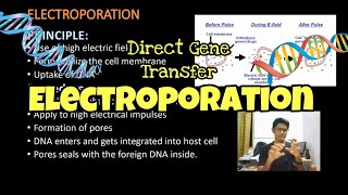 Electroporation  Direct DNA Transfer  Genetic Engineering  Tamil  ThiNK VISION  tnkumaresan [upl. by Marla]