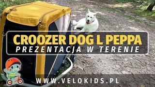 Przyczepka rowerowa dla psa Croozer Dog L Peppa w terenie [upl. by Windzer]