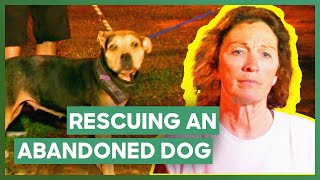 Tia Rescues An Abandoned Dog In A Park  Pit Bulls amp Parolees [upl. by Haraf]