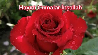 Yeni Cuma mesajları  Resimli Cuma mesajı  Hayırlı cumalar inşallah [upl. by Pollack616]