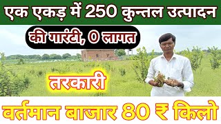 किसी भी तरह की मिट्टी में 120 दिन की फसल एक बार बुवाई करैं 20 साल तक तुड़ाई करें [upl. by Ilera997]