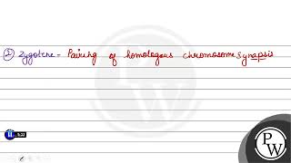 is marked by terminalisation of chiasmata 1 Leptotene 2 Zygotene 3 Diplotene 4 Di [upl. by Annovy]