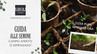 Guida alle semine  Campo aperto o semenzaio [upl. by Ivah]