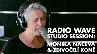 Monika Načeva amp Zdivočelí koně Radio Wave Studio Session [upl. by Adnil]